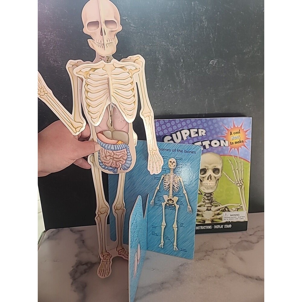 Super Skeleton by Not Available (2008)